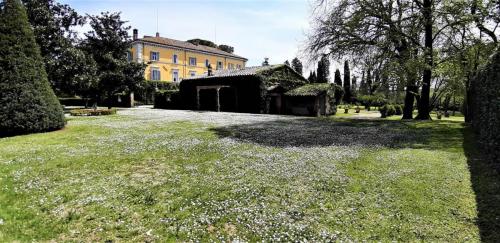 IL Palazzo (1)