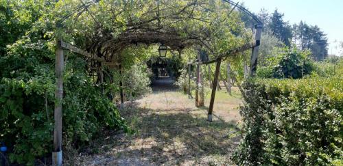 Villa in Assisi (23) (1)